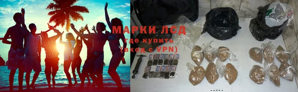 PSILOCYBIN Алексеевка