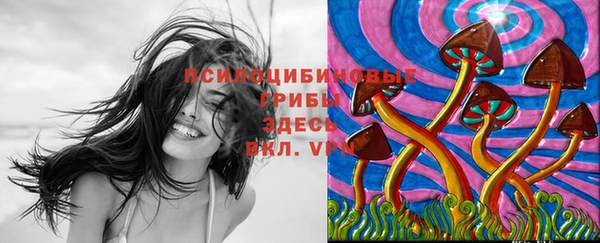 PSILOCYBIN Алексеевка